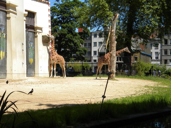 Wij zijn hier met vijf.