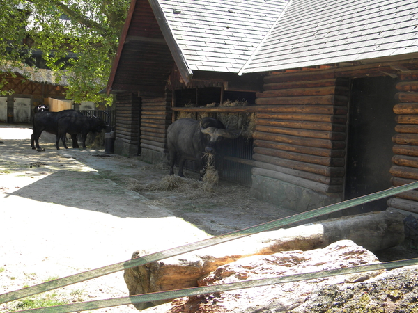 Ne beufel mee ges in zijn muile.