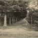 Boschweg bij de ijzeren brug 1921