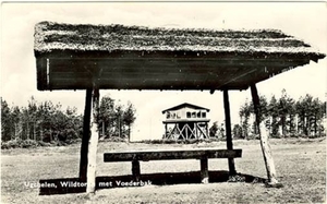 Wildtoren en Voederbak