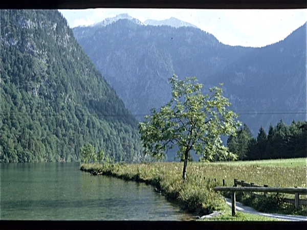 Knigssee (Beieren)