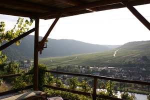 panorama  zell - moezel