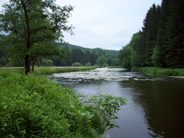 Les Hayons - verkenning juni 2010 (2)