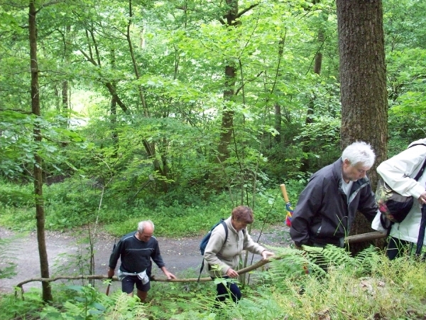 Les Hayons juni 2010 (11)