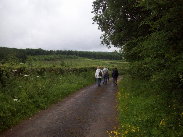 Villance - Point Vert (1)