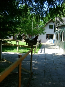 hoog en droog