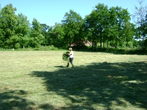 Else legt het in de zon