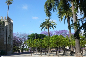 Jerez de la Frontera