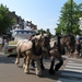 Nieuwpoort Vakantie ZZ 2010 Ter duinen 249