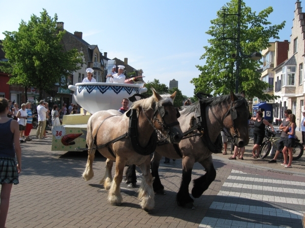 Nieuwpoort Vakantie ZZ 2010 Ter duinen 249