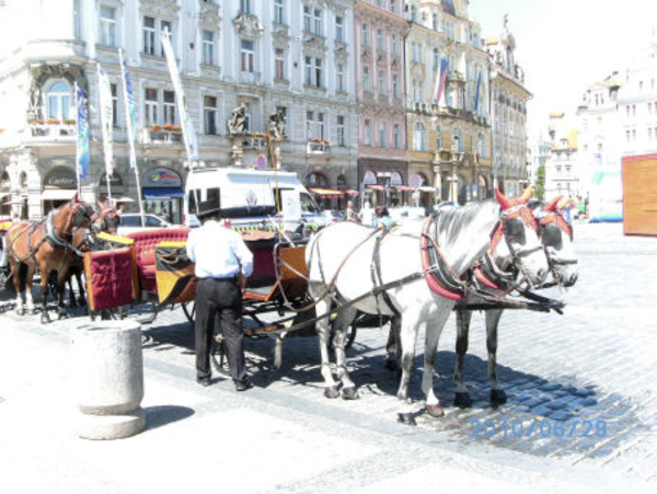 f PRAAG (27)