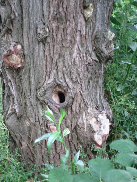 Ritthem-sjees en kerk 025