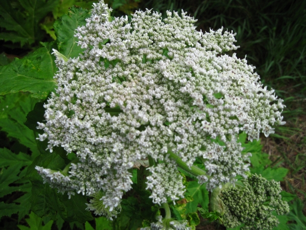 Ritthem-sjees en kerk 030