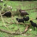DSC03360