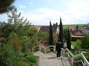 DSC03369