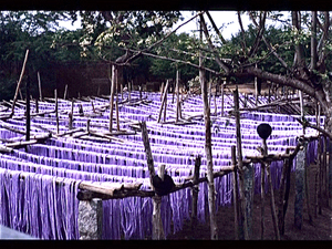 Bodnath  (Nepal)