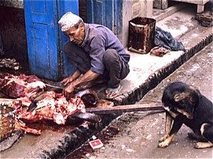 Kathmandu  (Nepal)