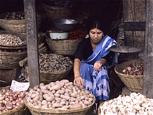 Kathmandu  (Nepal)