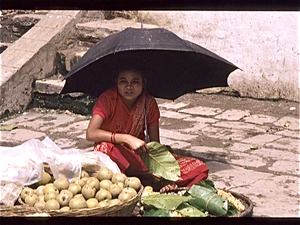 Kathmandu  (Nepal)