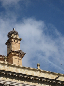 Salamanca