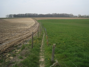 Panoramaroute (10)