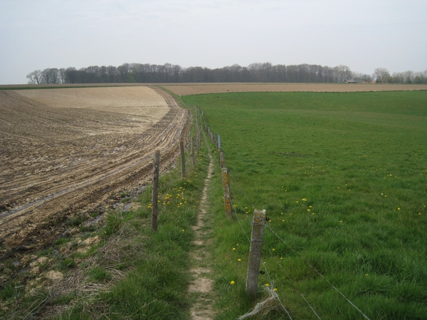 Panoramaroute (10)
