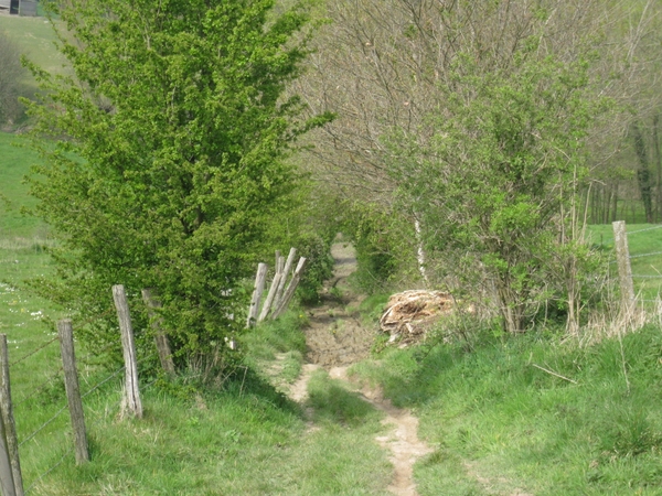 Panoramaroute (12)
