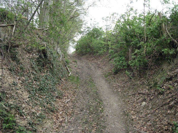 Panoramaroute (3)