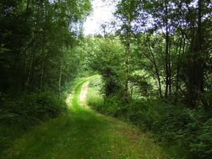Alsbos Sint-Pieters-Voeren