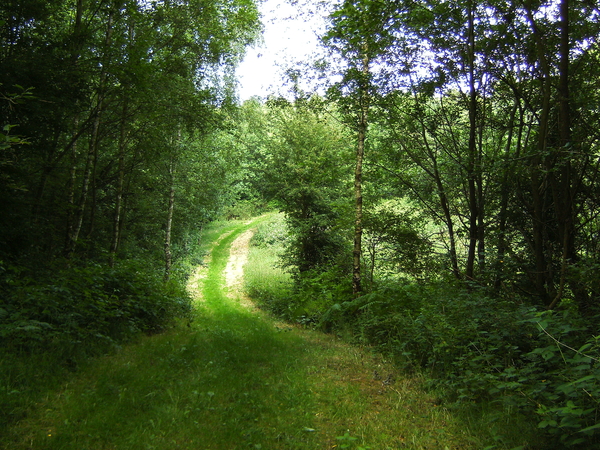 Alsbos Sint-Pieters-Voeren