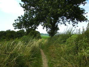 Blauwveld Sint-Pieters-Voeren