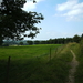 Blauwveld