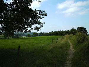 Blauwveld