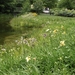 Meran (16)