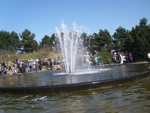 keukenhof (11)