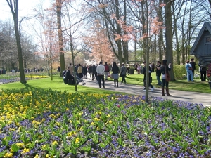 keukenhof (24)