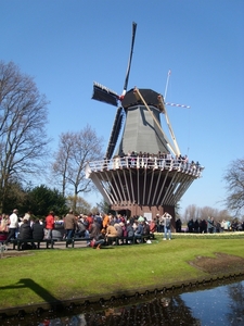 keukenhof (29)