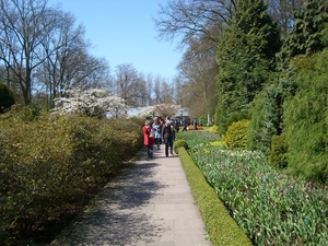 keukenhof (34)