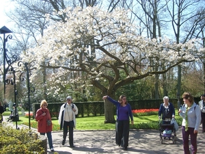 keukenhof (35)