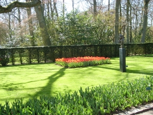 keukenhof (36)