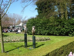 keukenhof (39)