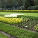 keukenhof (51)