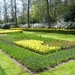 keukenhof (54)