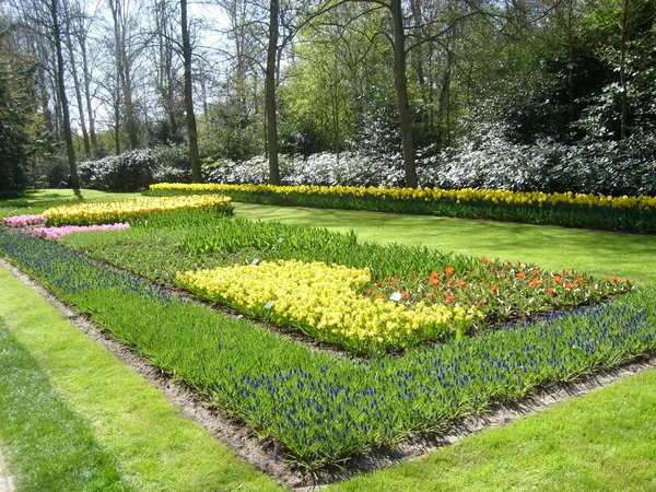 keukenhof (54)