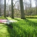 keukenhof (57)