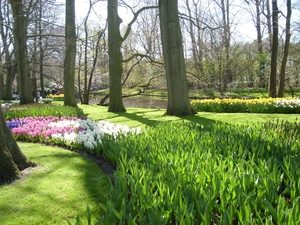 keukenhof (57)