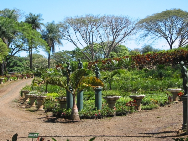 2007-01  276 Tuincenter 03-01-07