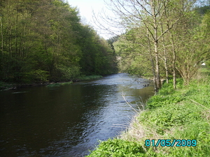 Ardennen 008