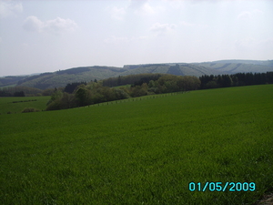 Ardennen 012