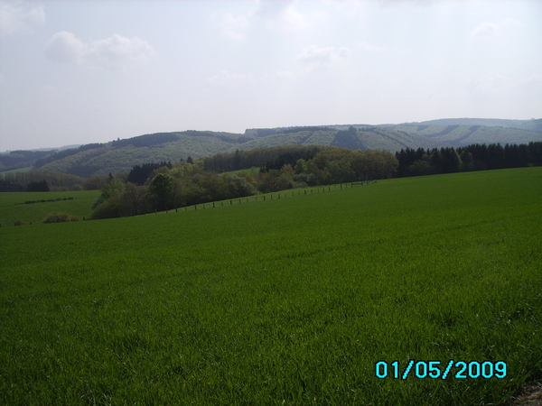 Ardennen 012